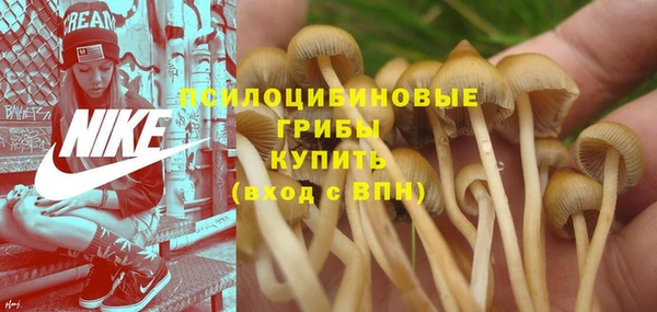 спиды Алзамай