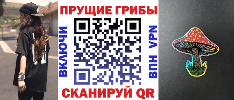 Галлюциногенные грибы Psilocybe  цены наркотик  Донской 