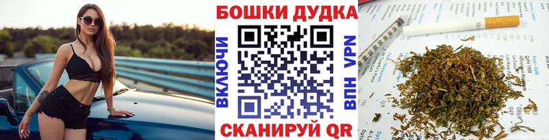 Канабис сатива  Донской 